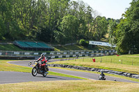 cadwell-park;cadwell-park-photographs;cadwell-trackday-photographs;enduro-digital-images;event-digital-images;eventdigitalimages;peter-wileman-photography;racing-digital-images;trackday-digital-images;trackday-photos